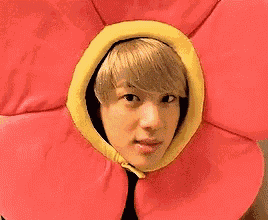 a person is wearing a flower costume with a yellow hood .