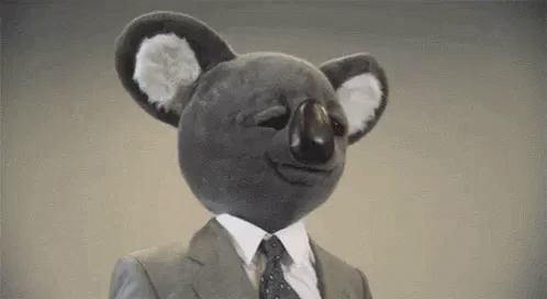 Koala Mask GIF - Koala Mask Hi GIFs