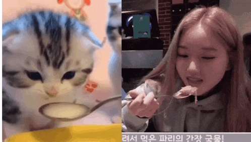 a woman is holding a spoon next to a kitten