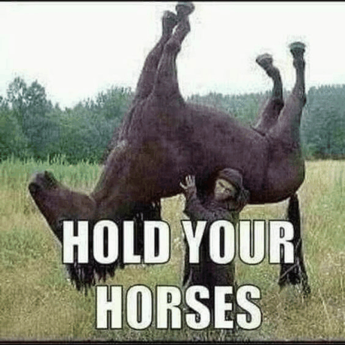 Hold Your Horses GIF - Hold Your Horses GIFs