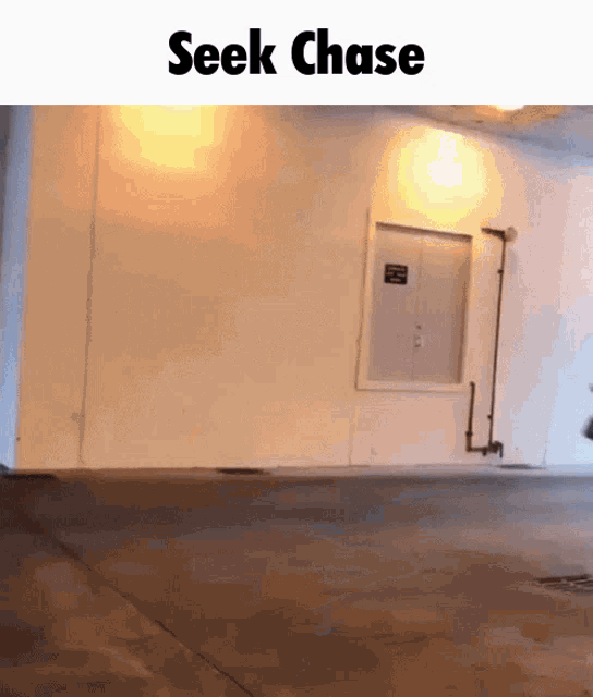 Seek Roblox Doors GIF - Seek Roblox Doors Doors GIFs
