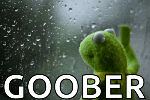 a kermit the frog looking out a window with the word goober written in white