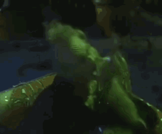 a person is covered in green slime and is covering their face with their hand .