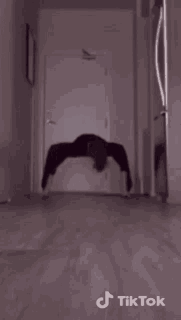 a person is standing in a hallway with a tiktok watermark on the bottom right