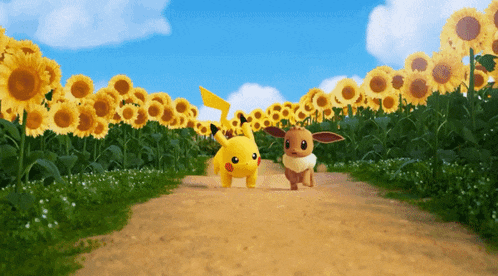 a pikachu and eevee are walking down a dirt road in a field of sunflowers