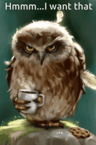 Hmmm I Want That Coffee Owl GIF - Hmmm I Want That Coffee Owl Nocturnalis GIFs