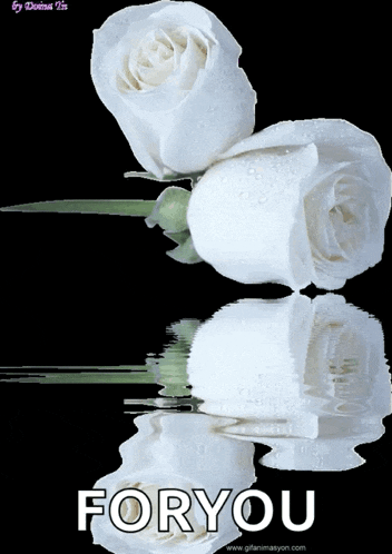 two white roses are reflected in the water and the words foryou are written on the bottom