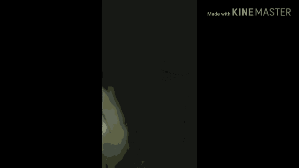 a man is standing in front of a wall with his arms outstretched and the words made with kinemaster on the bottom left