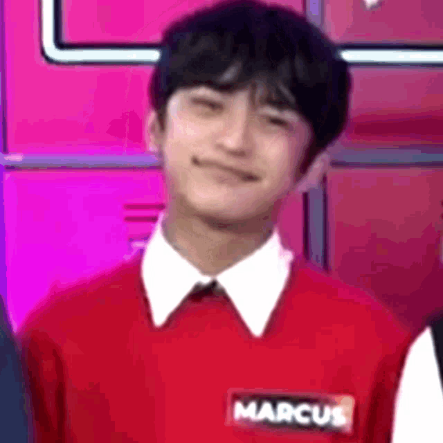 a young man wearing a red sweater and a white shirt is standing in front of a pink wall .