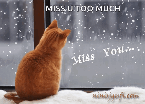 Missing You Miss You GIF - Missing You Miss You Snow GIFs