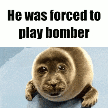 Bombergirl Seal GIF - Bombergirl Bomber Seal GIFs