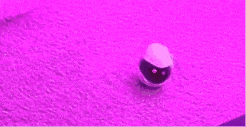 a close up of a ball on a purple surface