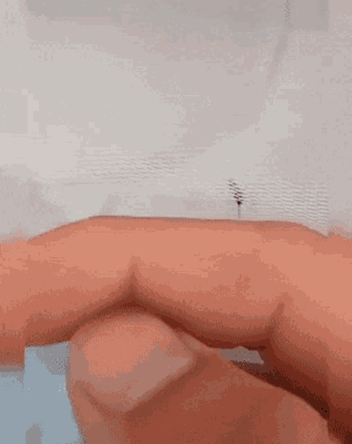 Mosquito Cant Touch Me GIF - Mosquito Cant Touch Me Insect GIFs