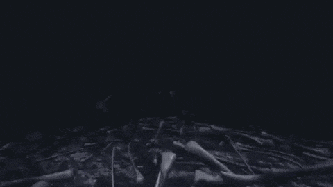a skeleton is laying on the ground in a pile of bones .
