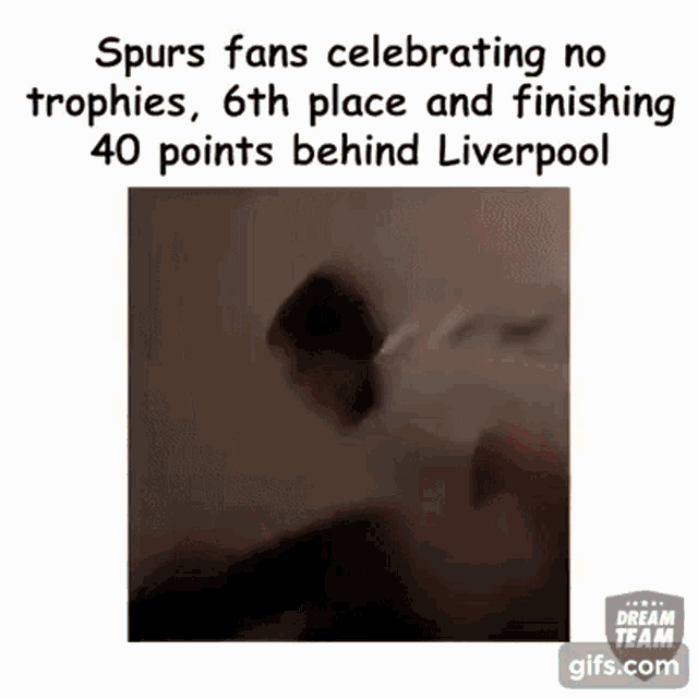 Spurs Tottenham Hotspur GIF - Spurs Tottenham Hotspur 6th GIFs