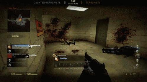 a screenshot of a video game where the counter-terrorists win