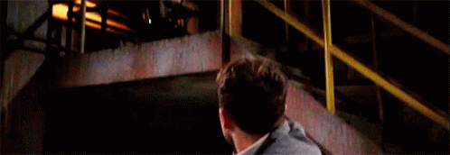 Who Are You What Are You Doing GIF - Who Are You What Are You Doing Scared GIFs