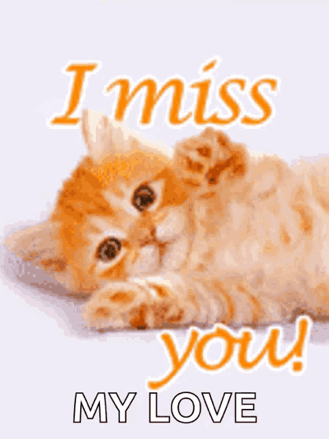 a picture of a kitten with the words " i miss you my love " below it