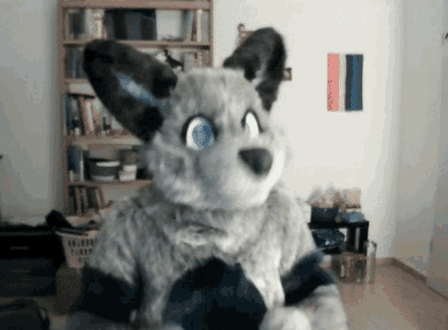 Furry Fursuit GIF