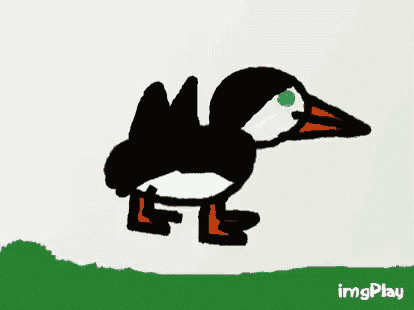 a drawing of a black and white bird with an orange beak and a blue eye
