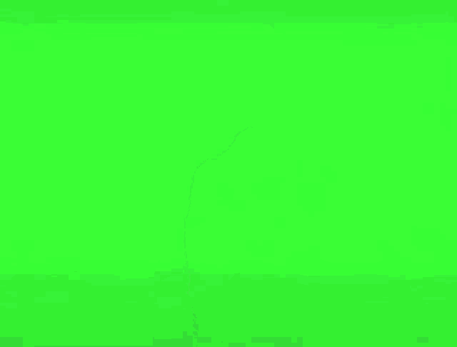 a man is standing in front of a green screen .