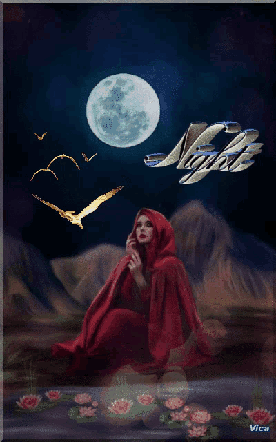 a woman in a red cape is sitting in front of a full moon with the word night above her