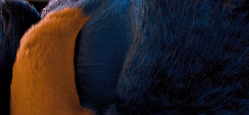a close up of a cartoon character 's eyes with a blue background