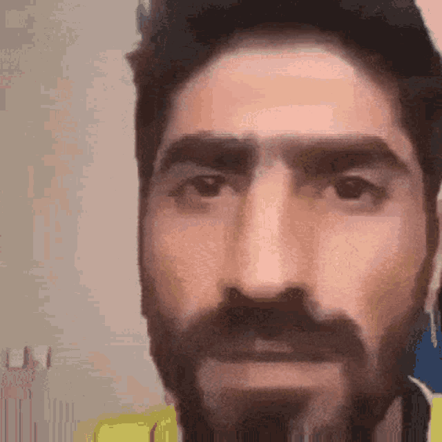 a close up of a man 's face with a beard and mustache .