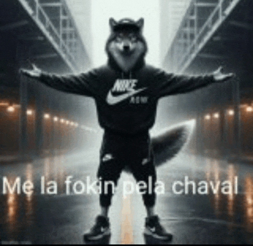 a person dressed as a husky wearing a nike hoodie is standing on a street with their arms outstretched .