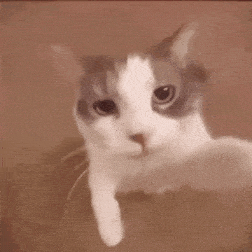 a close up of a cat 's face with its mouth open .