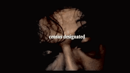 Census Designated Census GIF - Census Designated Census Designated GIFs