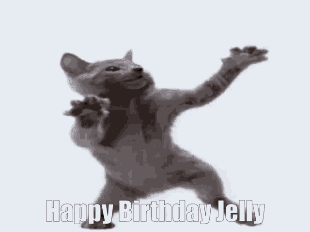 Happy Birthday Jelly Jelly GIF - Happy Birthday Jelly Happy Birthday Jelly GIFs