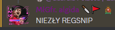 a screenshot of a video game with the name niezly regsnip