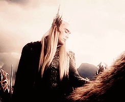 Did That Just Happen? GIF - The Hobbit Excuse Me Thranduil GIFs