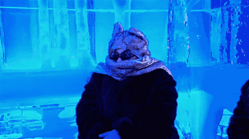 a person wearing a fur coat and scarf is standing in front of a blue wall of ice