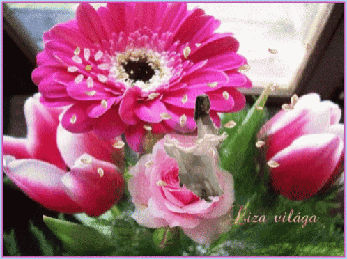 a picture of pink flowers with the name ibiza vilaga