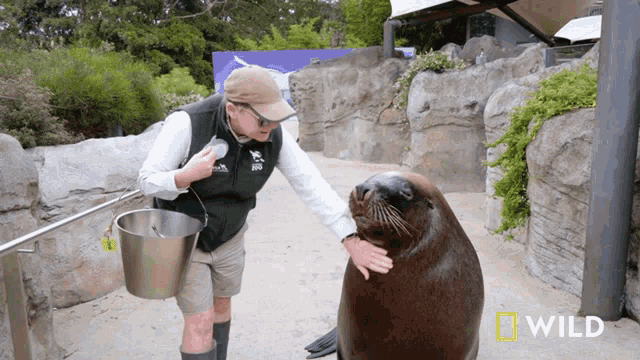 a man petting a seal with a national geographic wild logo behind him