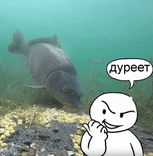 a cartoon of a fish and a man with a speech bubble that says dupeet