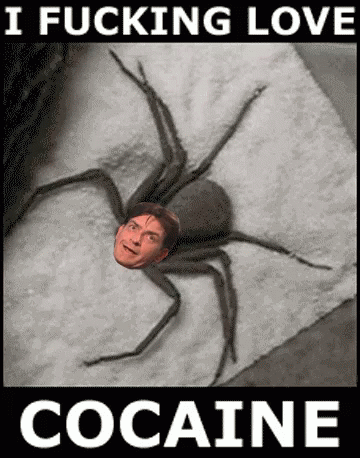 Cocaine Spider GIF - Cocaine Spider GIFs