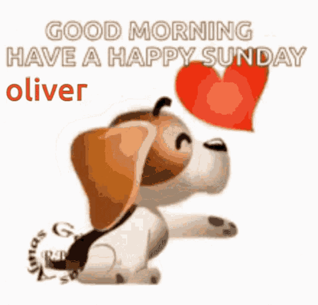 a brown and white dog is holding a red heart and says `` good morning have a happy sunday oliver ''
