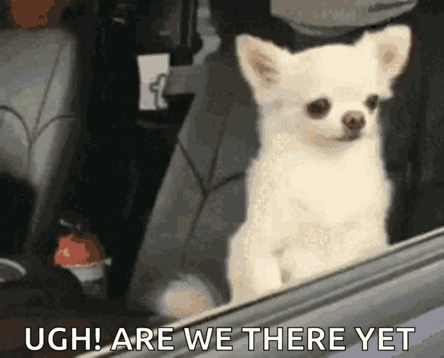 Ugh Are We There Yet GIF - Ugh Are We There Yet Dog Funny GIFs