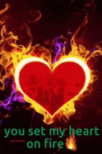 Heart Love GIF - Heart Love You Set My Heart On Fire GIFs