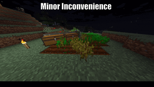 a screenshot of a video game with the words minor inconvenience