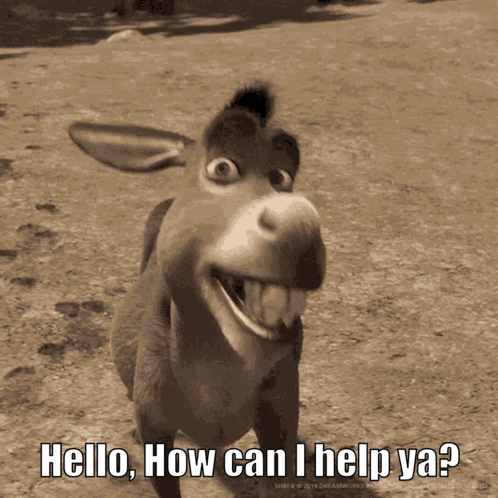 Donkey Help You GIF - Donkey Help You How Can I Help Ya GIFs
