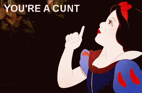 a cartoon of snow white pointing up with the words you 're a cunt below her