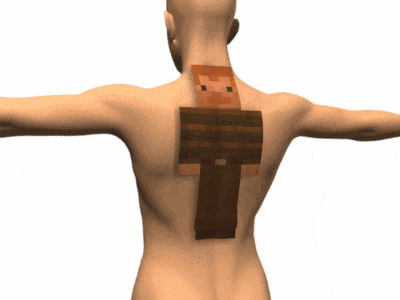 a 3d model of a person with a minecraft skin on their back