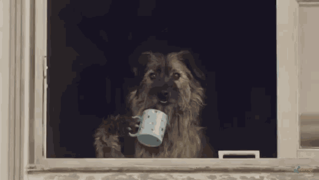 Dog Sips Tea GIF