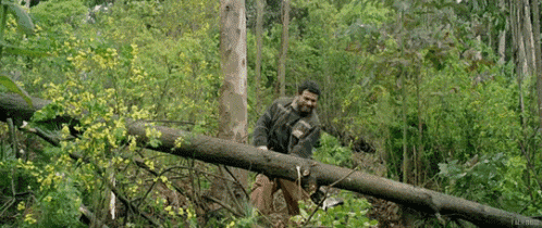 a man is cutting a tree with a chainsaw in a forest .
