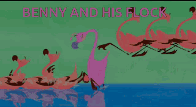 Benny Shilling Flamingo Family Flock Of Flamingos GIF - Benny Shilling Flamingo Family Benny Shilling Flock Of Flamingos GIFs
