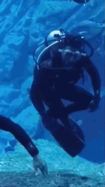 a scuba diver is swimming in a large tank